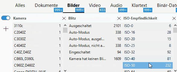 Facetten-Browser